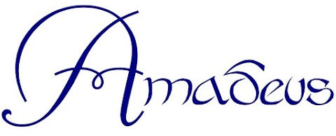 Accademia AMADEUS