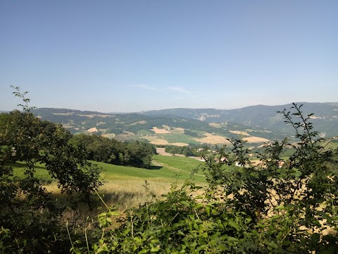 Casa di Cinti appartamenti vacanze