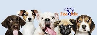 Fido & Felix - Clinica Veterinaria