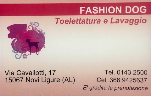 Fashion Dog ~ Lavaggio e Toelettatura Professionale