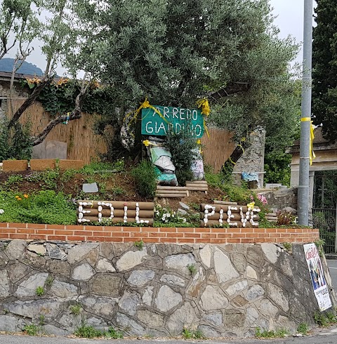 Edil Pieve