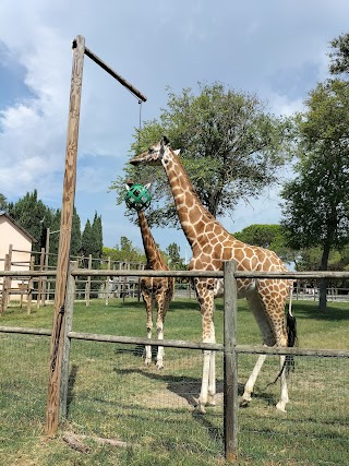 Parco Zoo Punta Verde