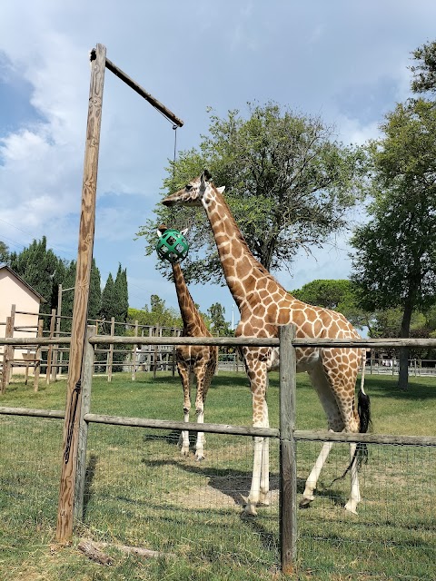 Parco Zoo Punta Verde