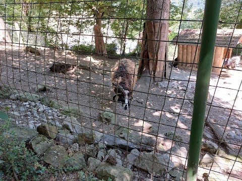 Zoo Park Rožman