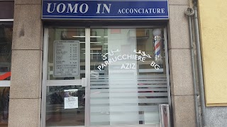 Uomo in Acconciatura