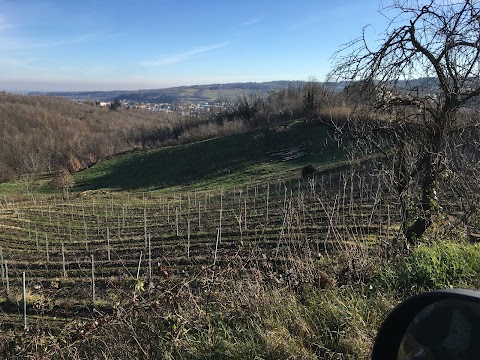 Agriturismo Ronco delle Rose