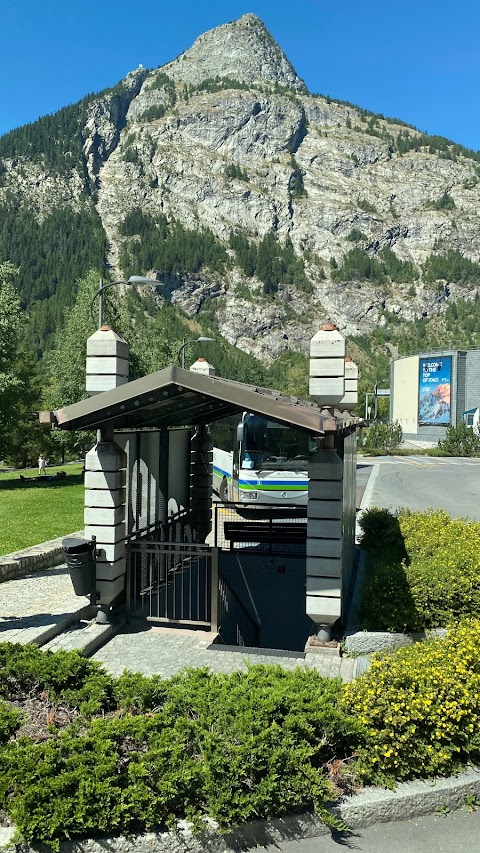 Courmayeur Mountain Cinema