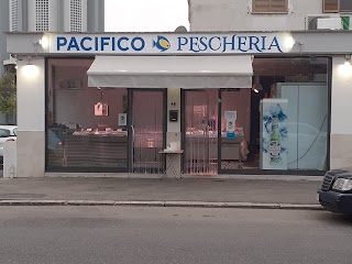 Pescheria Pacifico via aspromonte, 46 Latina