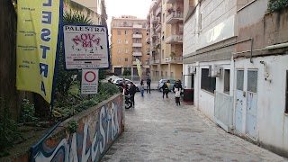 Nova84 Palestra Roma