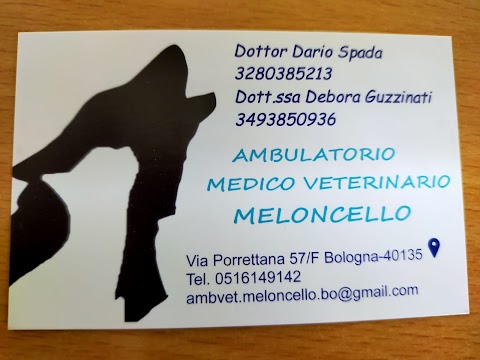 Ambulatorio Medico Veterinario Meloncello