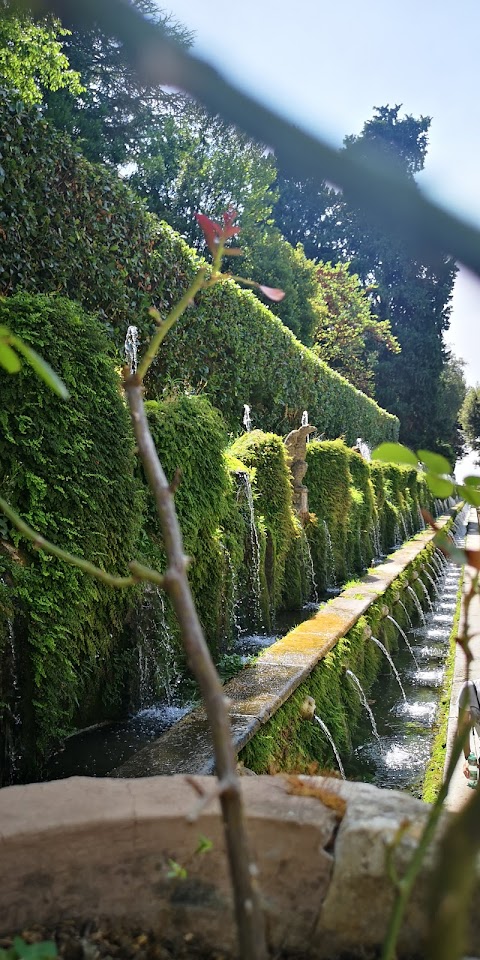 Fontana dell'Ovato (o di Tivoli)