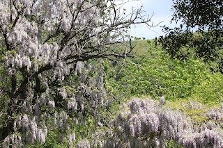 Area Attrezzata Roccella Valdemone