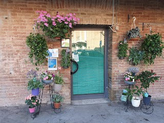 Fiori online Fiorista Jack Di Fiori Di A. Cialdini Consegna fiori e piante a domicilio a Siena