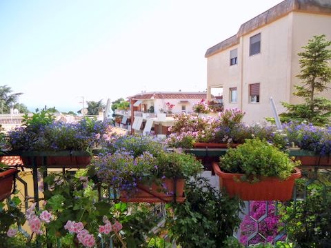 B&B LA COCCINELLA - vicino costiere sorrentina e amalfitana, Vesuvio e rovine di Pompei