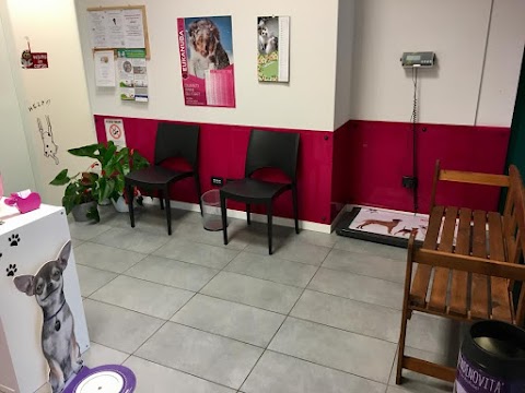 AMBULATORIO VETERINARIO MYVET