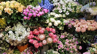 La Bouqueterie Fiori Di Dandrea Concetta