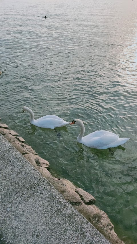 Lungolago Castelnuovo del Garda