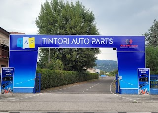Tintori Auto Parts