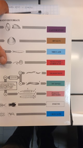 Centro di Ricerca Difesa e Certificazione