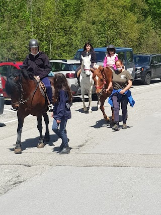 Equitrek dell'Appennino Asd