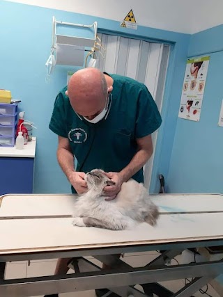 Studio Veterinario DR. Claudio Morigi, pronto soccorso, visite a domicilio e in urgenza, reperibilità anche 24 ore