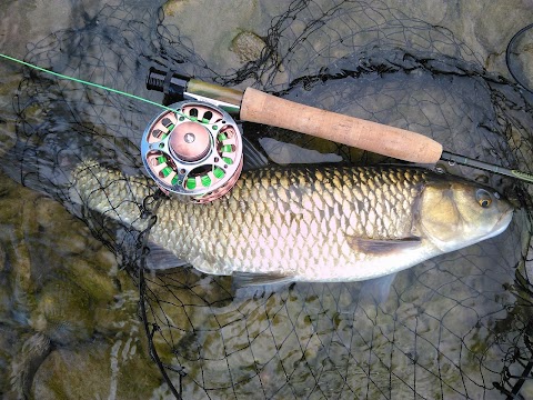 Pesca Shop Novi Ligure