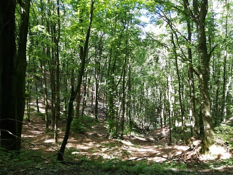 Madonna dell'Albero