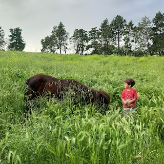 Forest School