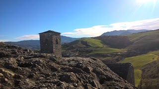 Escursioni appennino piacentino - Walk the Nature