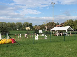 Agility Dog Reggiana Asd