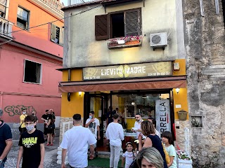 Pizzeria Lievito Madre