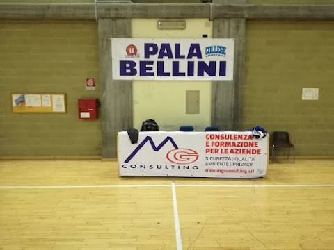 BASKET COLLEGE NOVARA LL