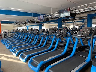 Fenix Gym