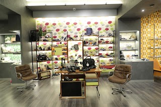 Shoes point Outlet Corato