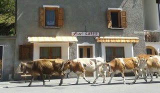 Bar Caffè Pedenosso