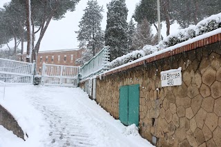 Istituto di San Giovanni Damasceno