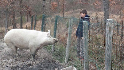 Agriturismo Borgo Tiedoli