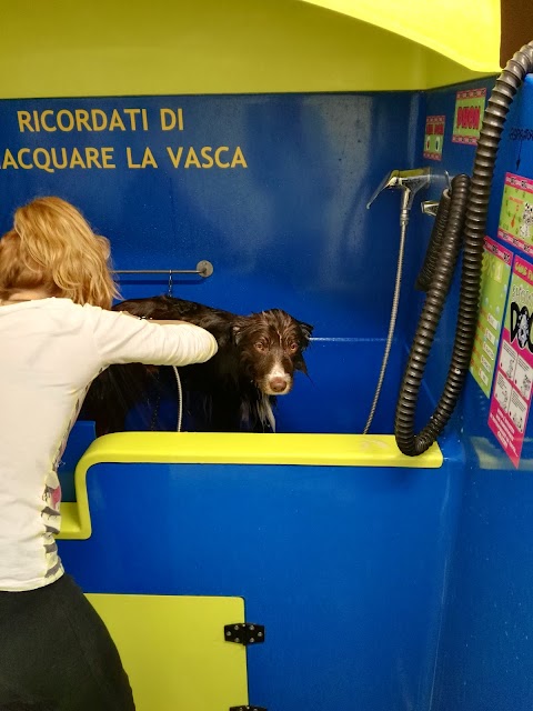 Happy Dog Wash