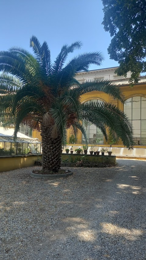 Orto botanico "Giardino dei Semplici" - Università di Firenze