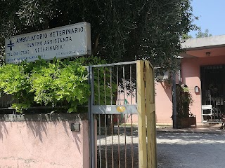 Centro Assistenza Veterinaria