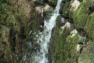 Centro Visite Parco riserva naturale