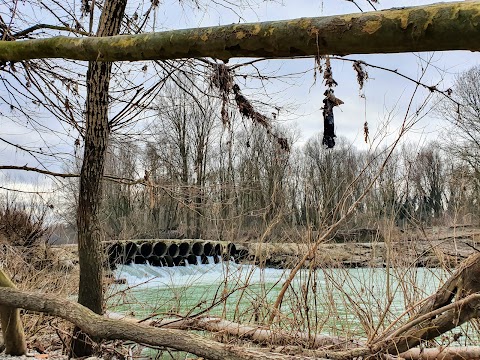 Area di Riequilibrio Ecologico "Golena San Vitale"