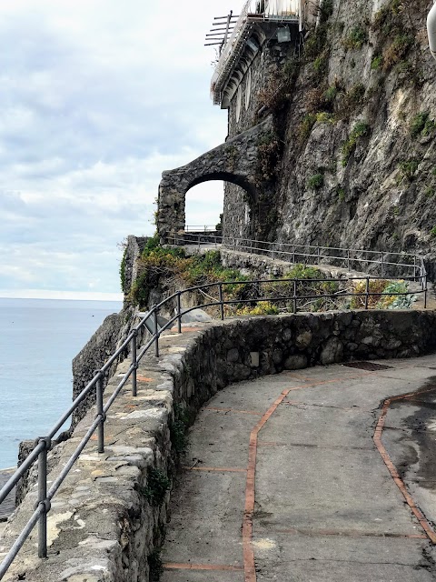 L'uomo E Il Mare S.r.l. Escursioni in barca Positano e Costiera Amalfitana