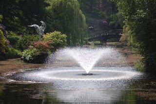 Pratesi Edilizia e Giardino