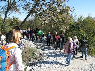 Curiosi di natura Soc. Coop.