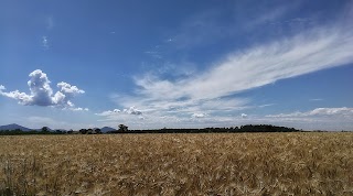 Toara di Villaga Country Walter