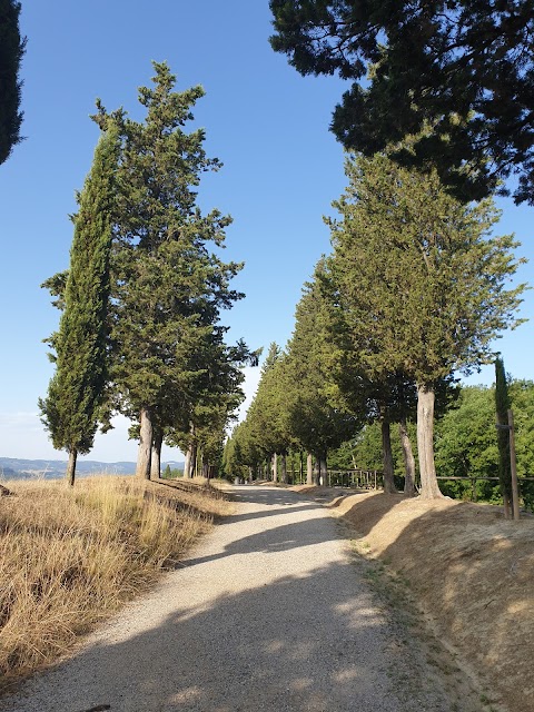 Parco Collinare di Canonica