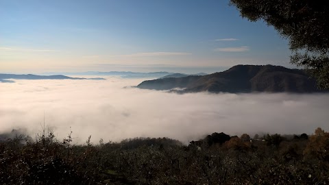 Agriturismo Fattoria di Cintoia