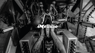 Melluso Store - Bologna