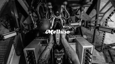 Melluso Store - Bologna